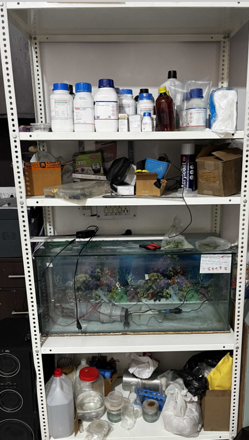 Poem Techno R&D experiments — multiple growing conditions tested for mushroom farm automation validation